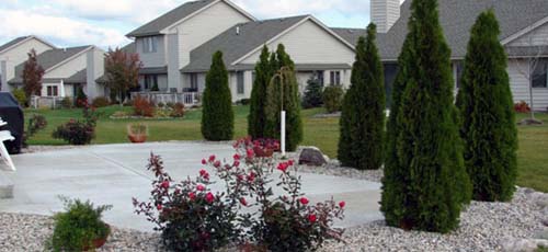Plantings Around Concrete Patio